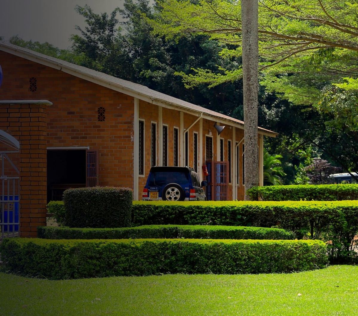 A red brick building with clipped hedges and mature palms on the Bugema University campus