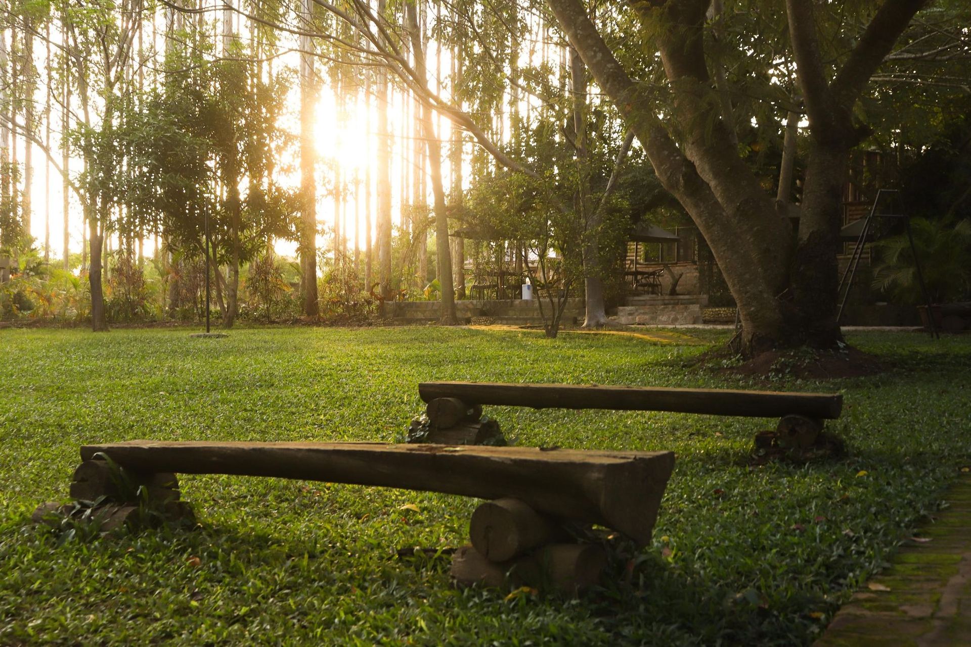 Evening sunlight through the trees over log benches in the forest at The Great Outdoors, Kalanamu