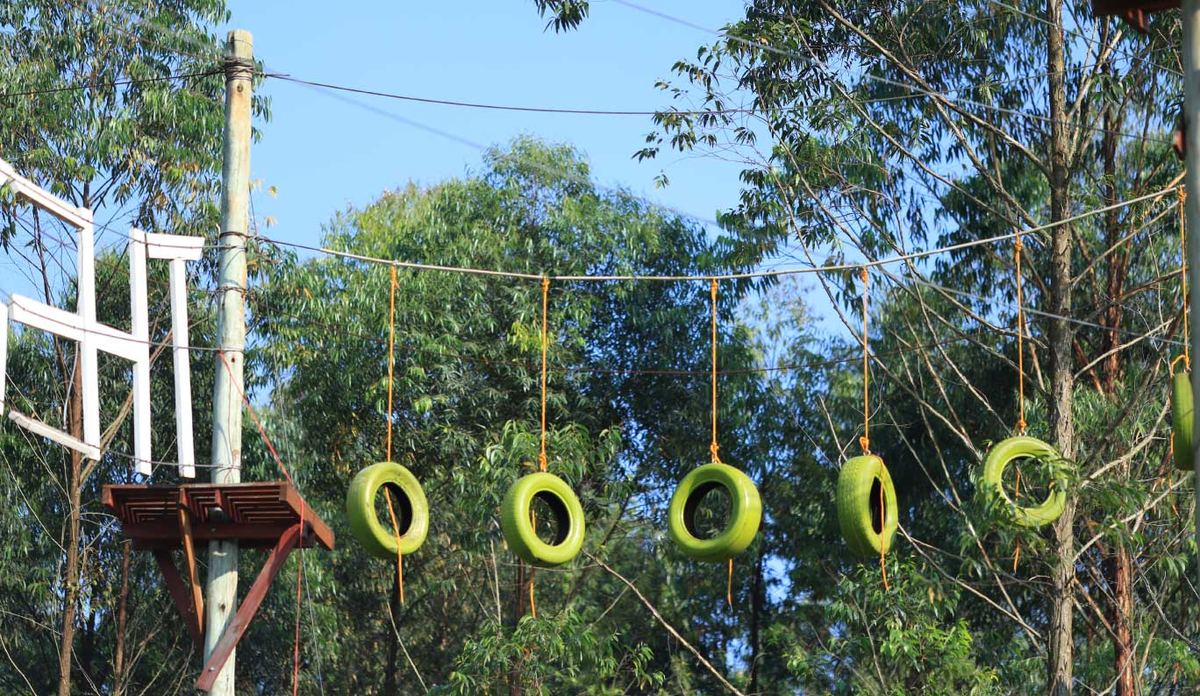 A tyre obstacle on the high ropes course at Theron Leisure Park, strung between eucalyptus trees